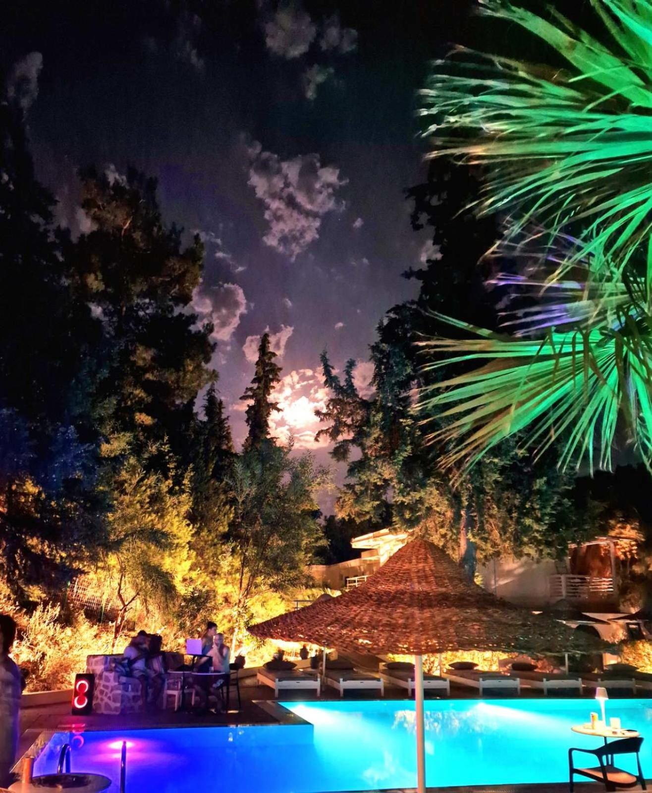 Pine Trees Art Apart Otel Ixia (Rhodes)